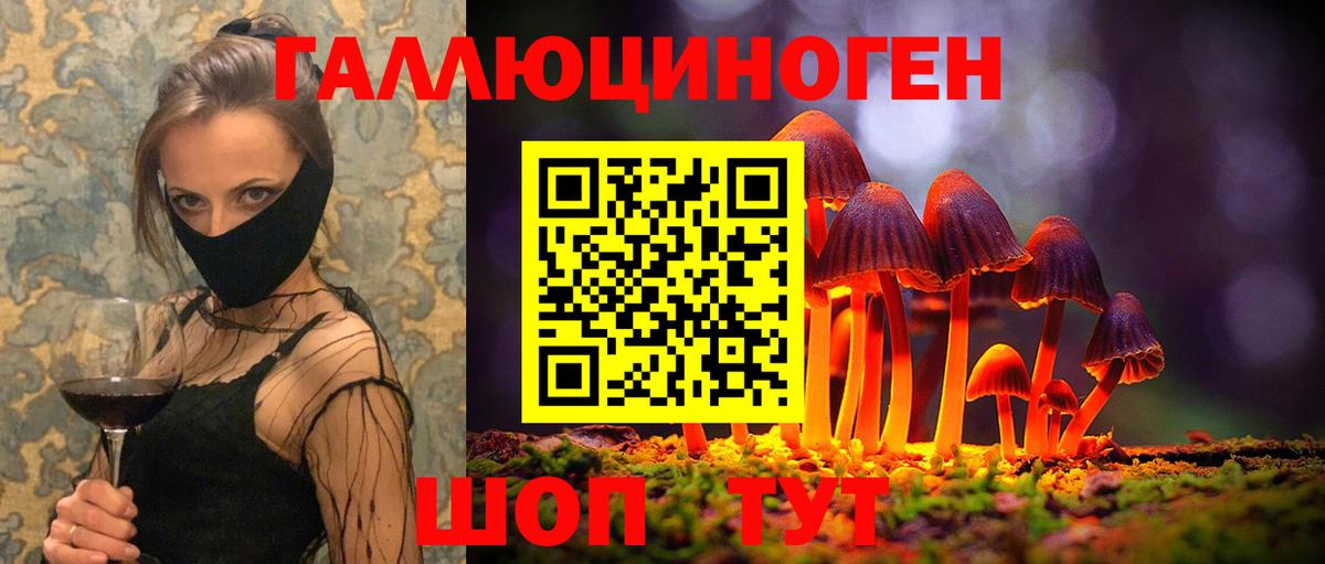 Дивногорск  Галлюциногенные грибы прущие грибы  Вход с VPN 